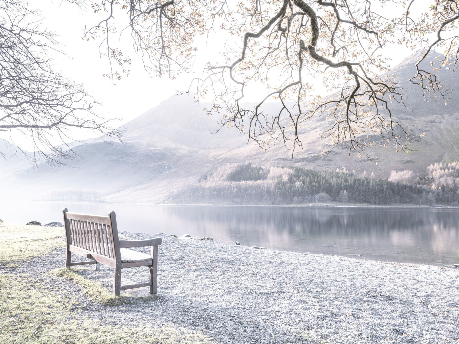 Bench by Still Lake Wall Mural