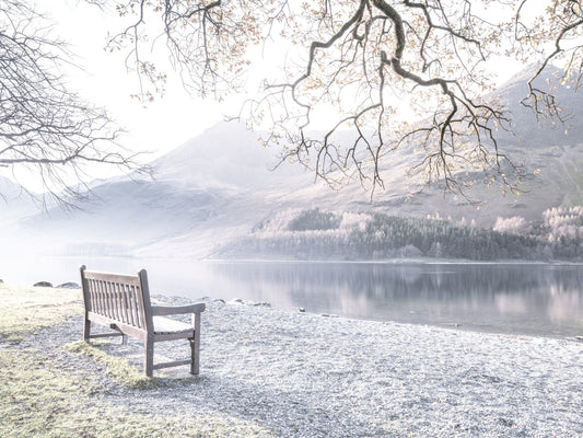 Bench by Still Lake Wall Mural