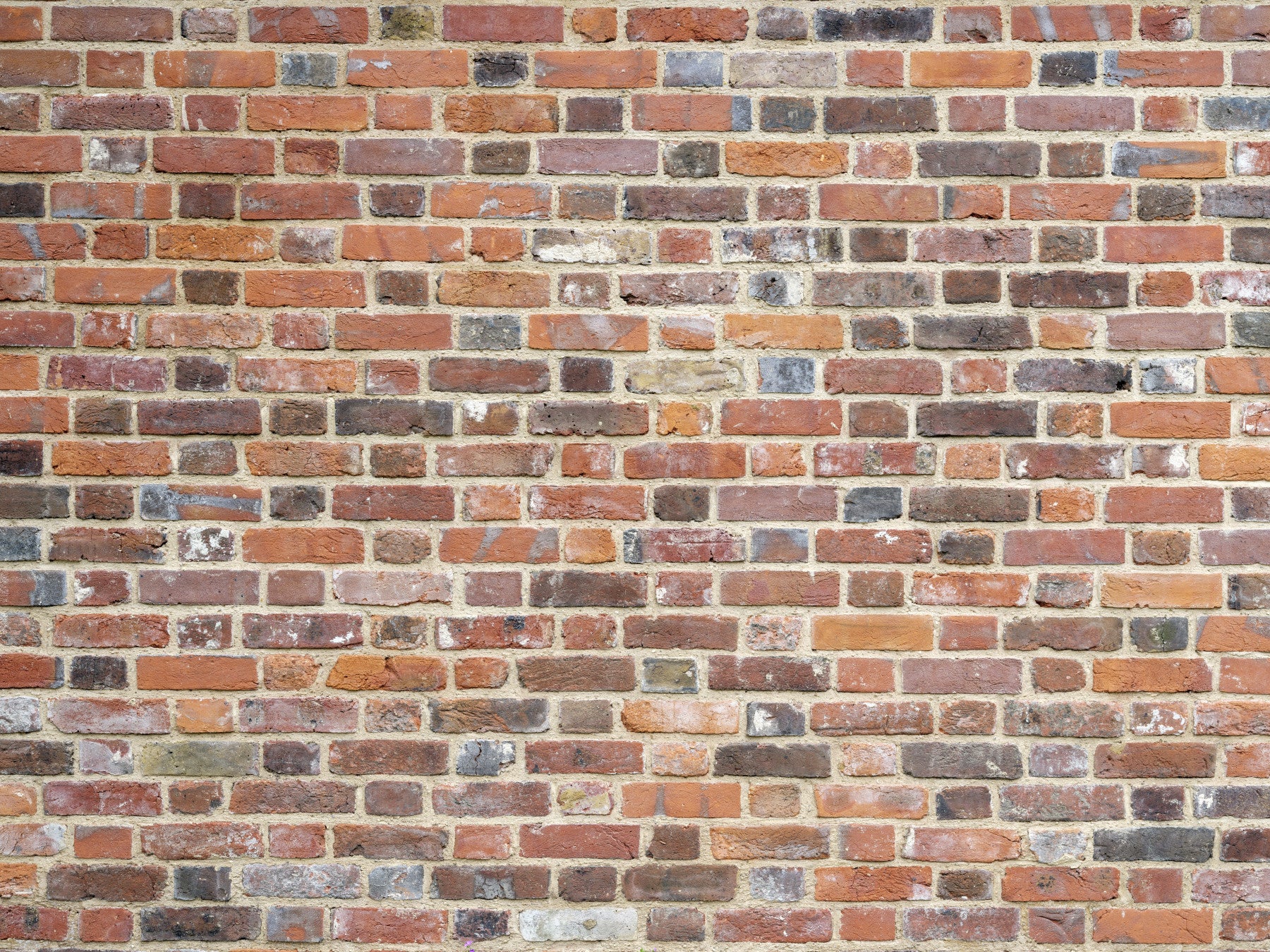 Rustic Brick Wall Wall Mural