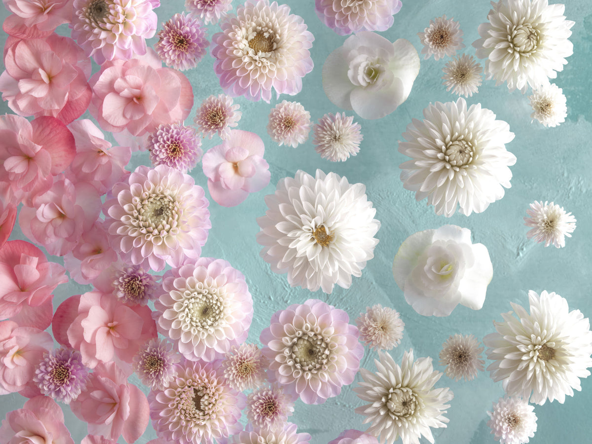 Floating Florals Wall Mural