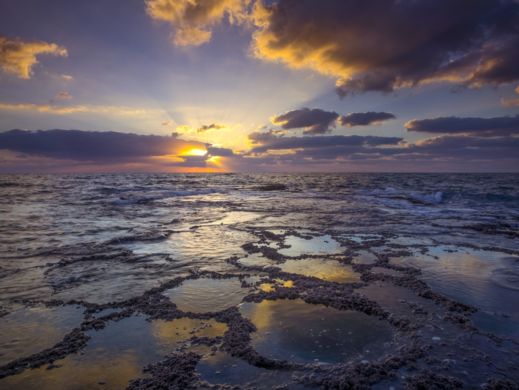Golden Hour at the Shore Wall Mural