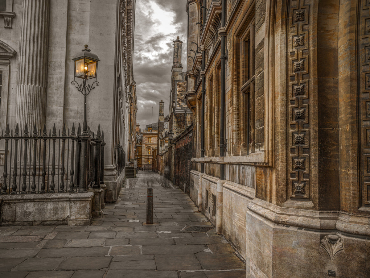 Cambridge Lane Wall Mural in your room — zoomed