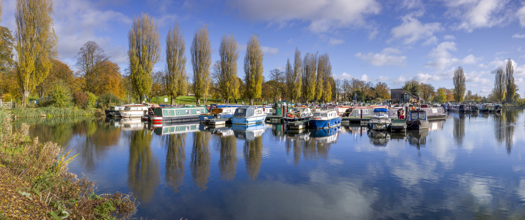 The Boating Marina Wall Mural in your room — zoomed