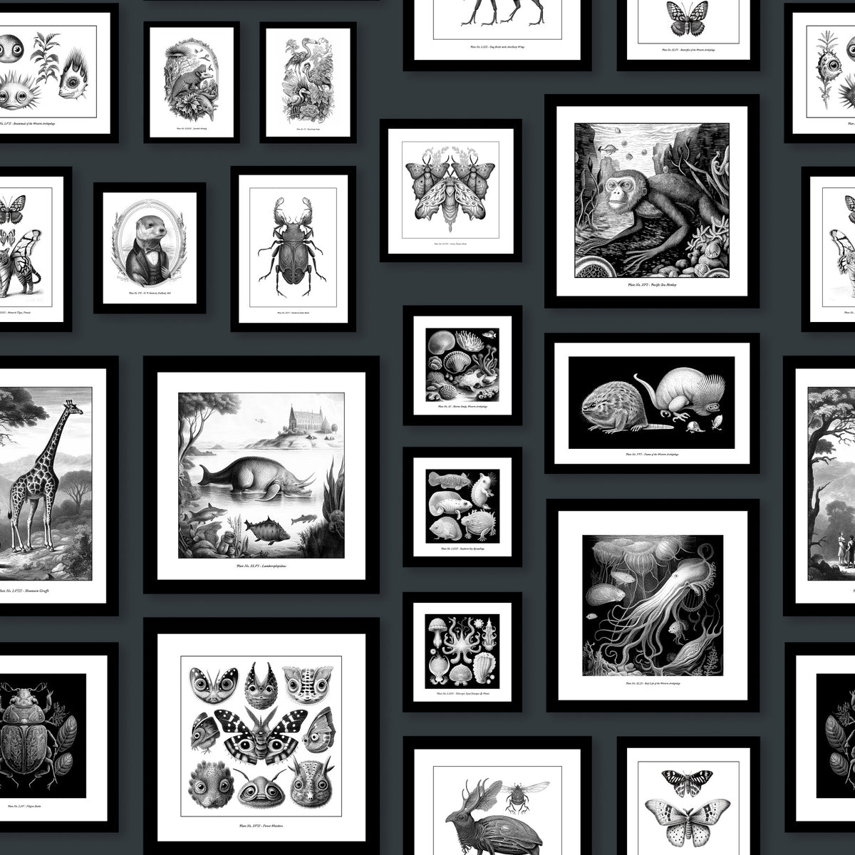 Fantastic Creatures - Anthracite Wallpaper⁠ in your room — zoomed