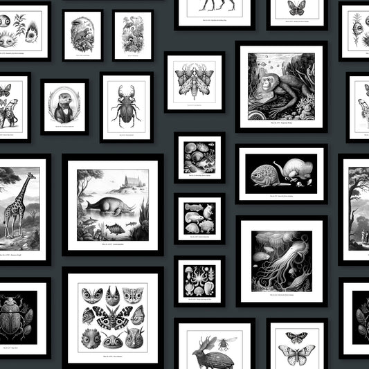 Fantastic Creatures - Anthracite Wallpaper⁠
