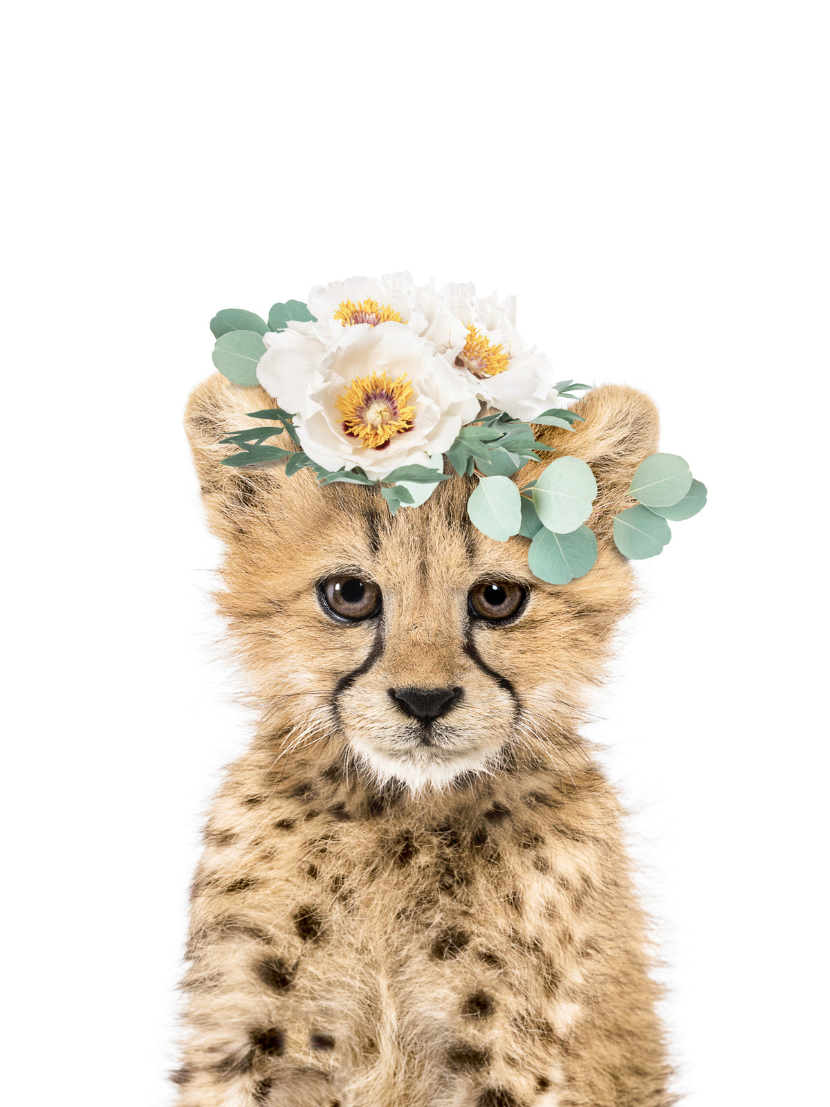 Floral Cheetah Cub Wall Mural in your room — zoomed