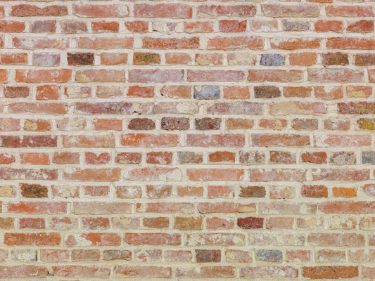 Timeless Brick Wall Mural