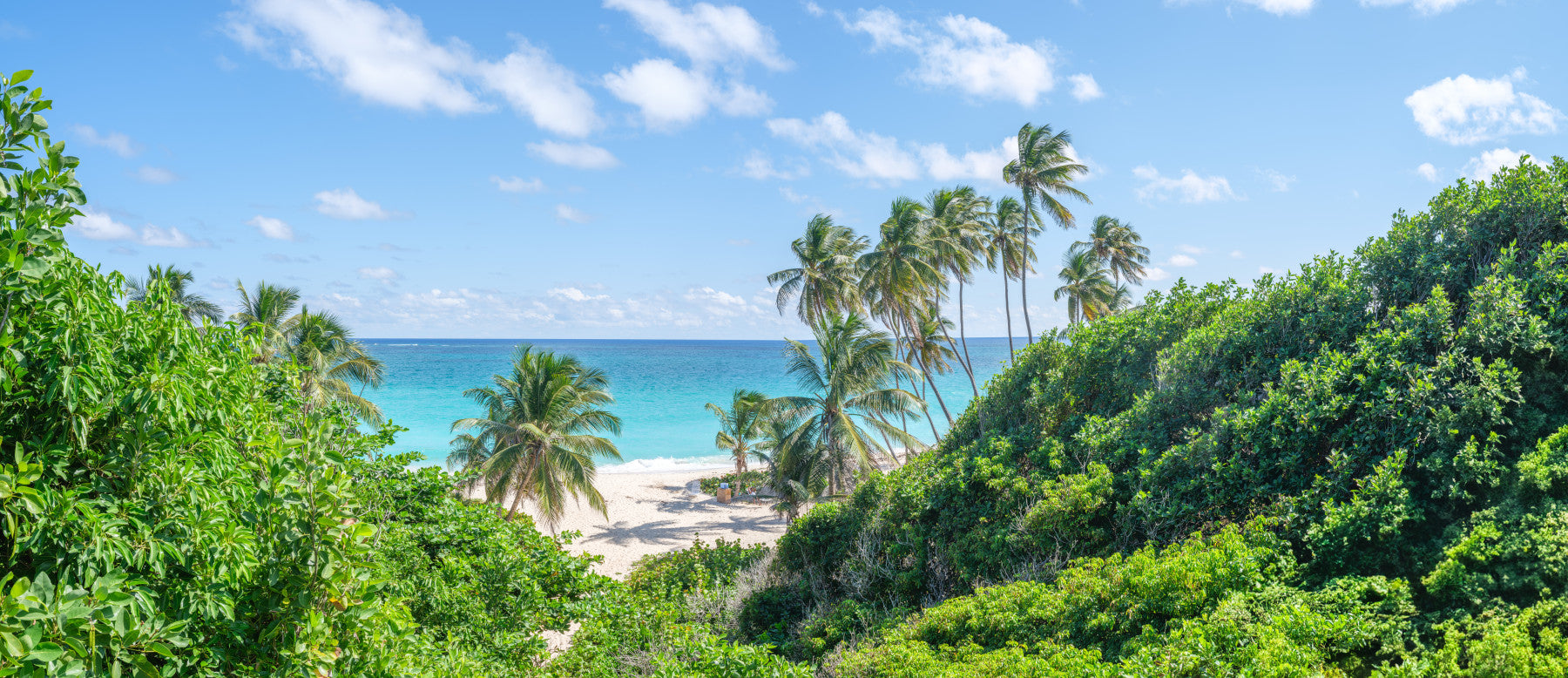 Tropical Beach Bliss Wall Mural