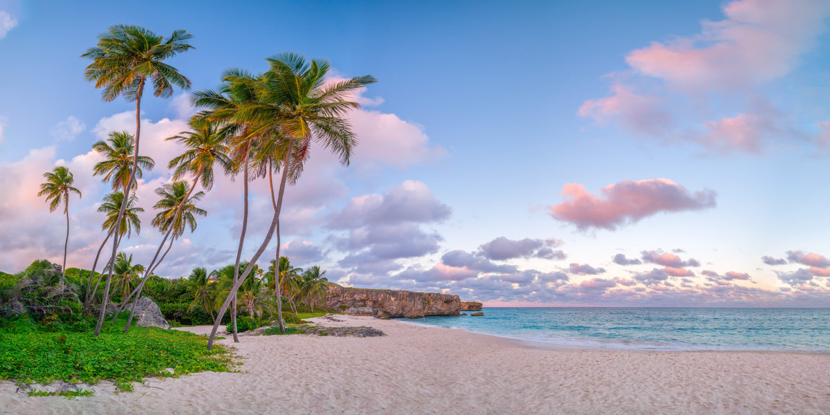 Serene Tropical Evening Wall Mural