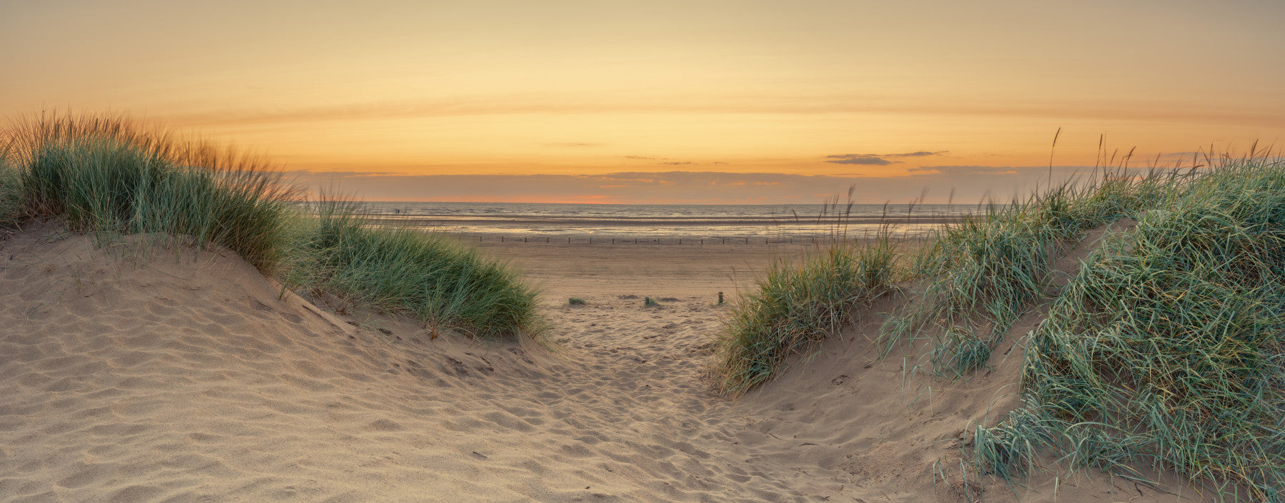 Coastal Peace Wall Mural in your room — zoomed
