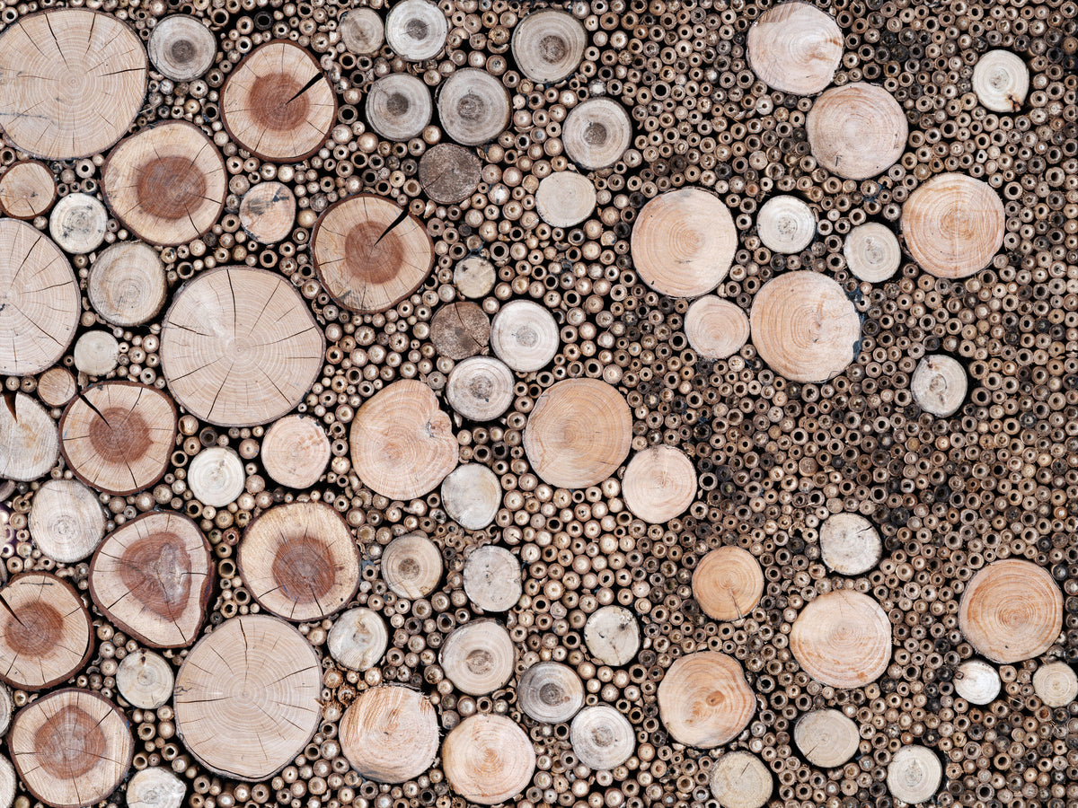 Circular Wood Array Wall Mural