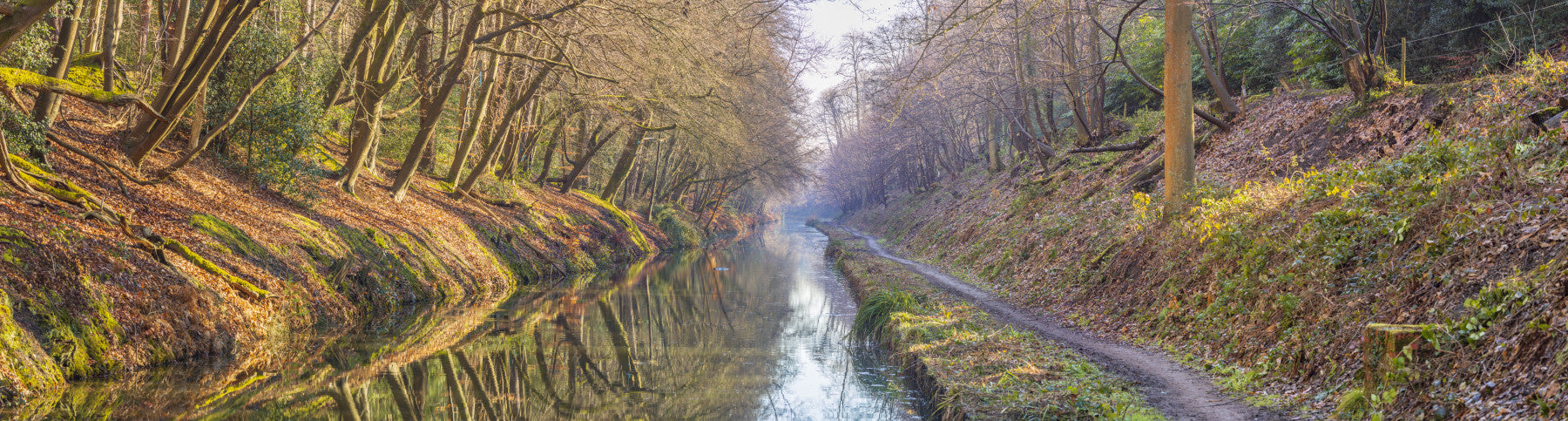Forest Canal Escape Wall Mural