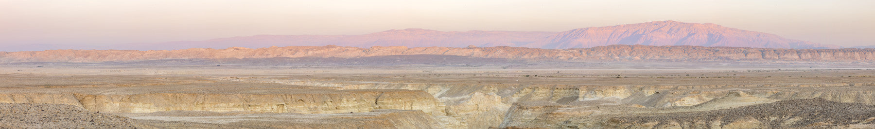 Desert Dawn Panorama Wall Mural