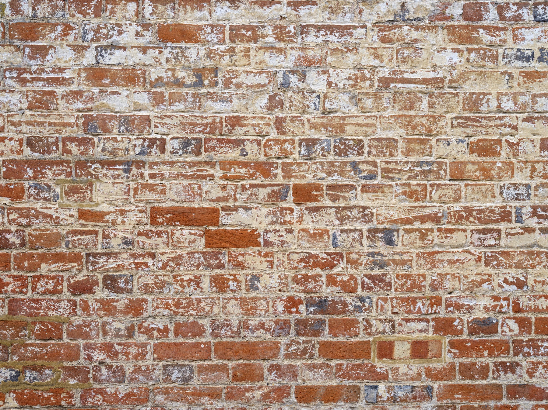 Weathered Brick Charm Wall Mural