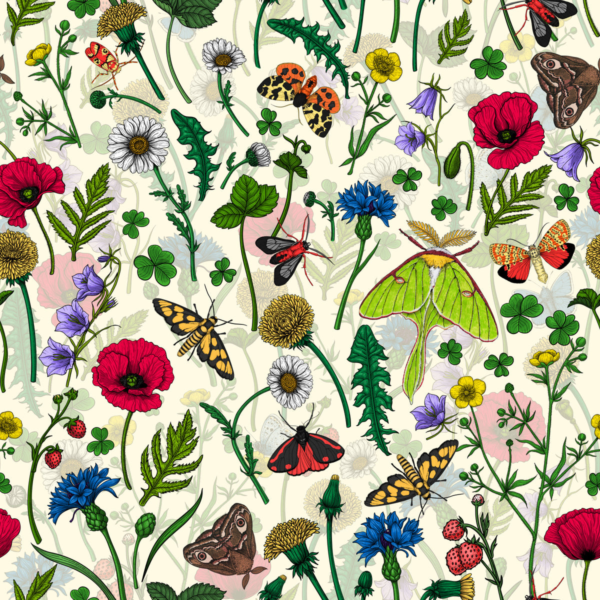 Moths and wildflowers Wallpaper⁠