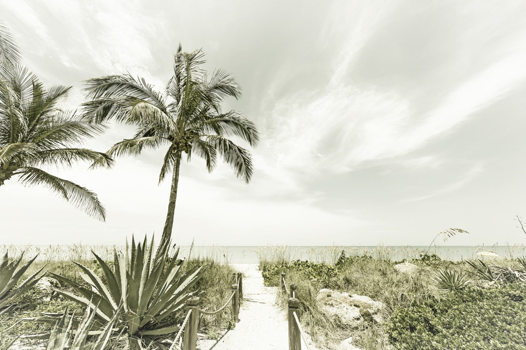 Alone at the beach | Vintage Wall Mural