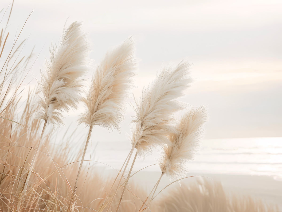 Poetry by the sea - Pampas grass in evening light Wall Mural