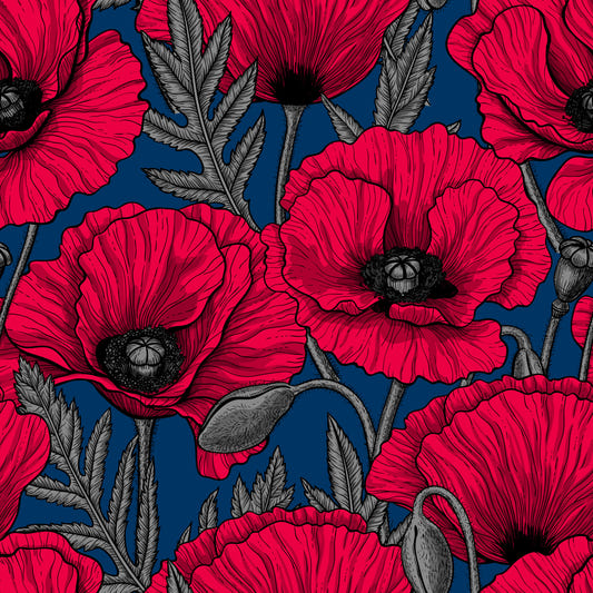 Red poppies on dark blue Wallpaper⁠