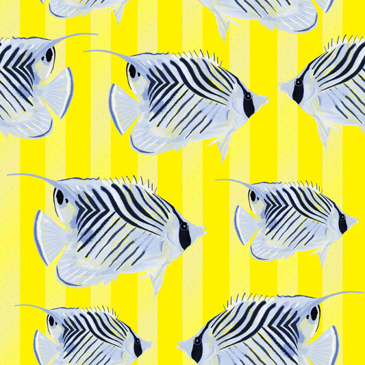 Aquaria Wallpaper⁠