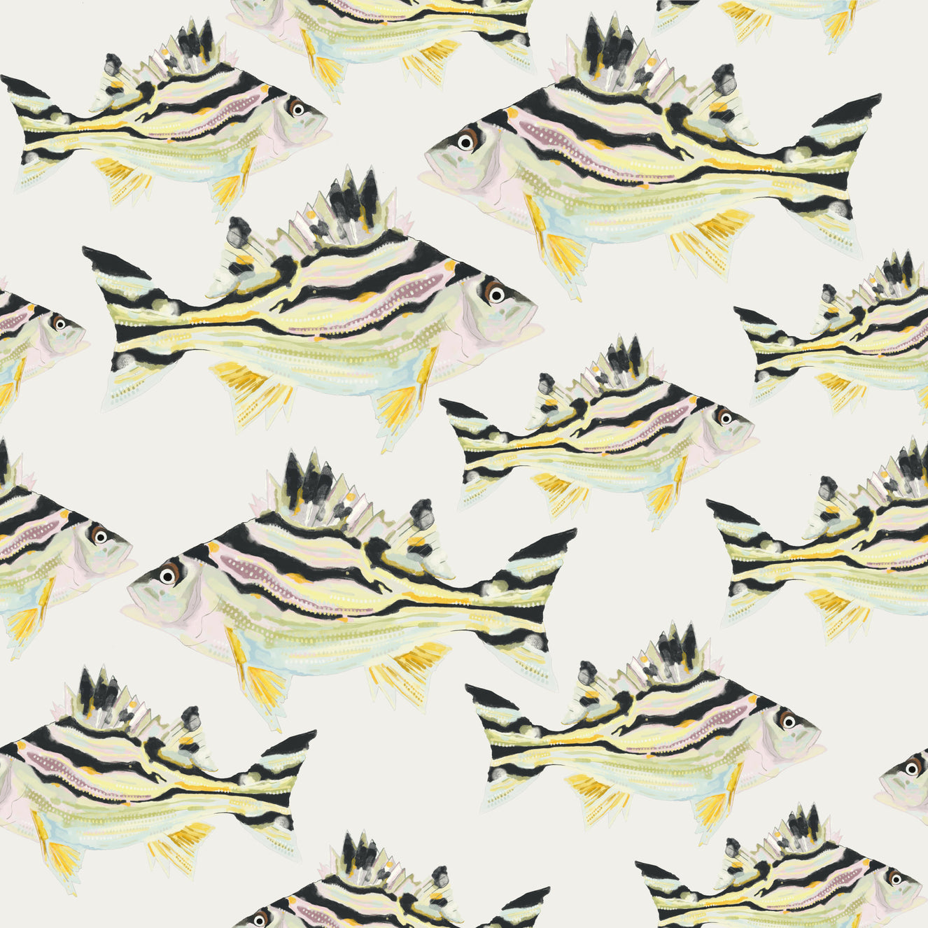 Jarbua - The Fish Wallpaper⁠