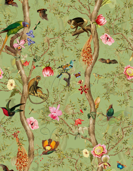 Tropical Paradise Birds 4 ⁠  Wallpaper⁠