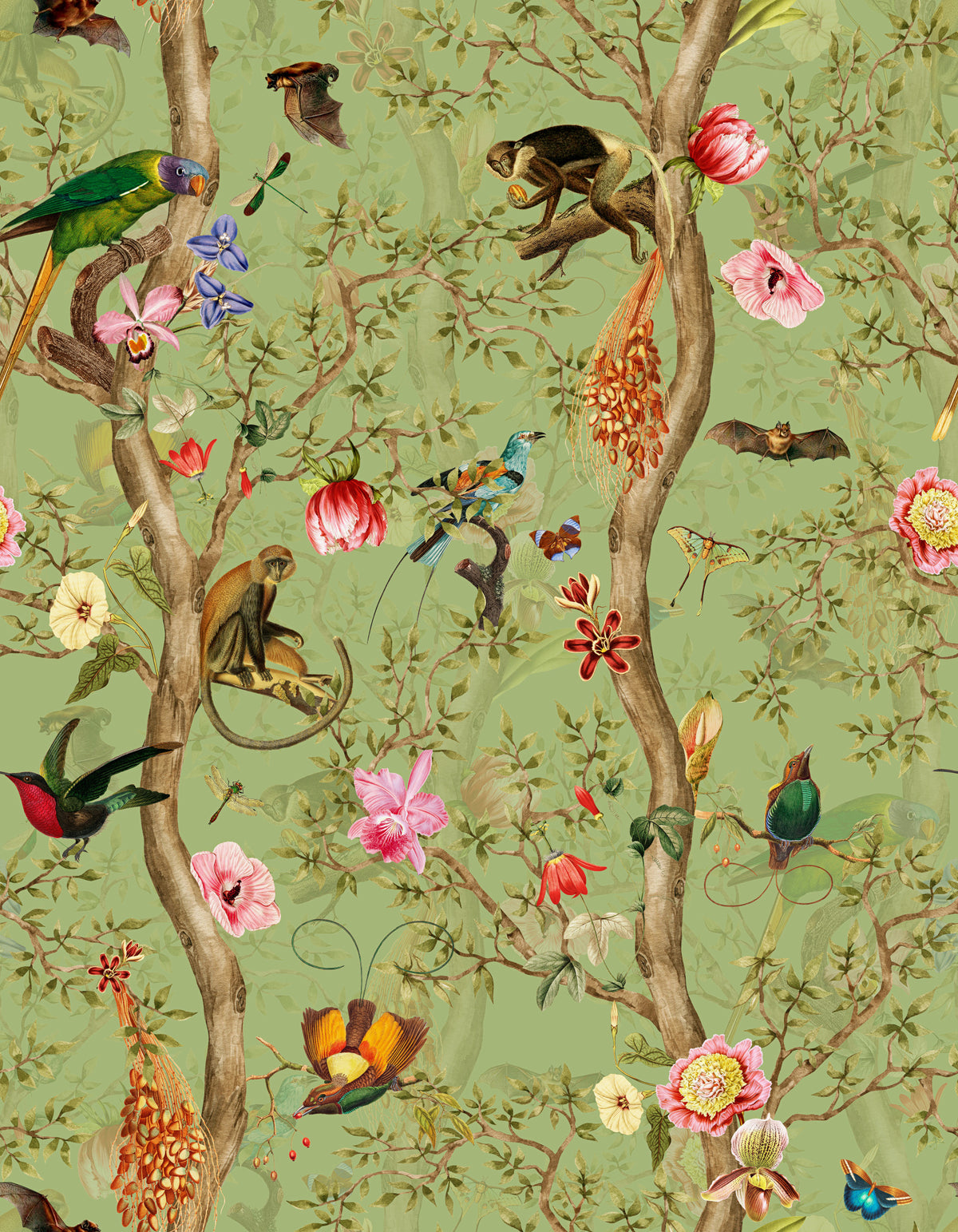 Tropical Paradise Birds 4 ⁠  Wallpaper⁠ in your room — zoomed