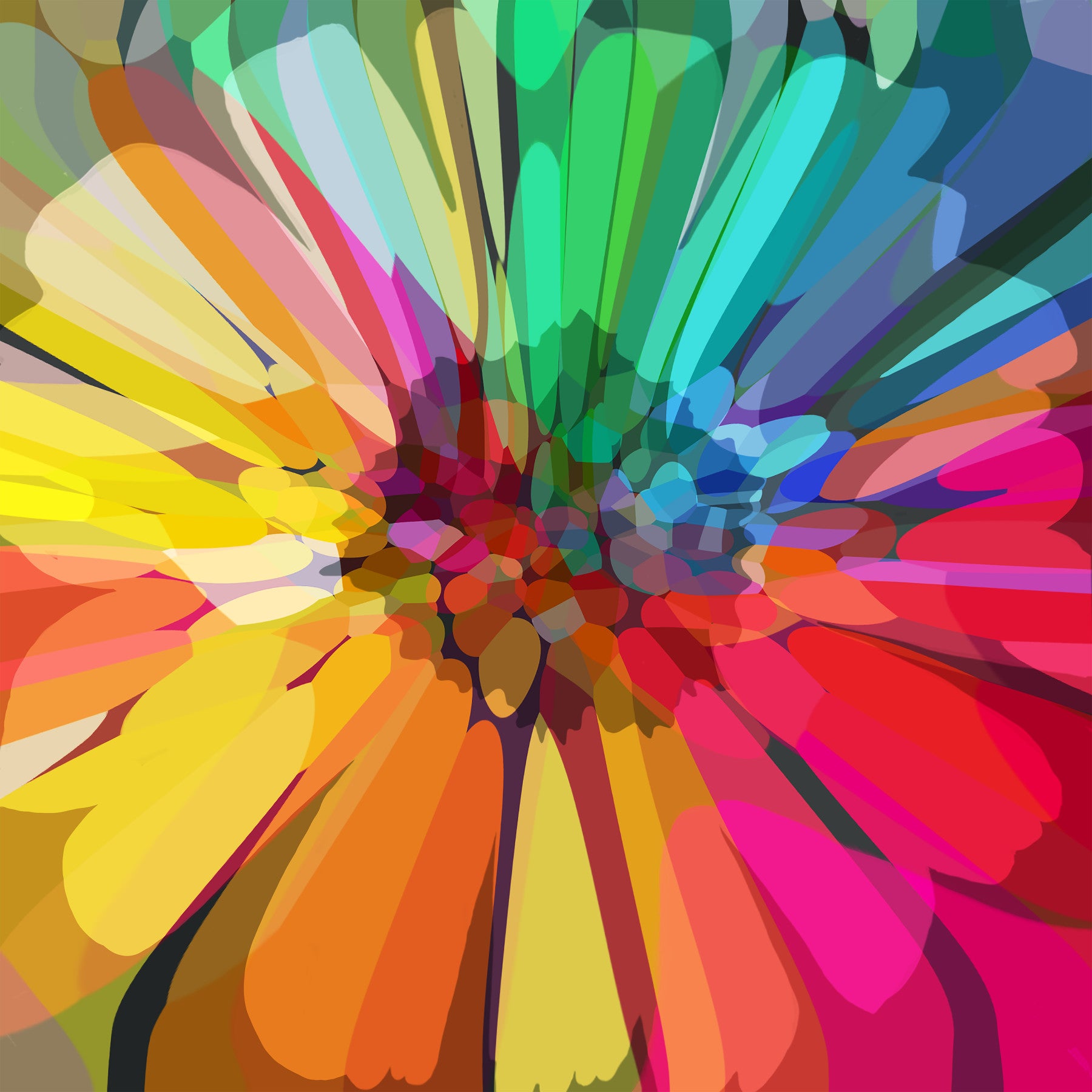 Chromatic Burst Wall Mural