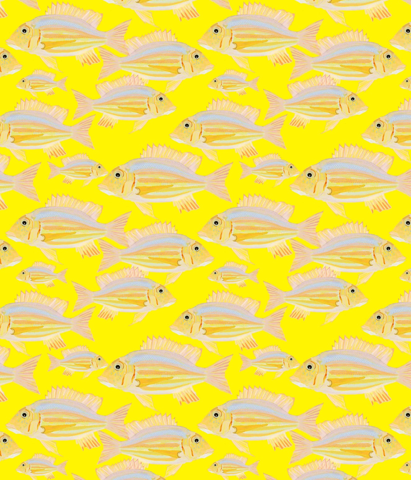 Fish Wallpaper⁠