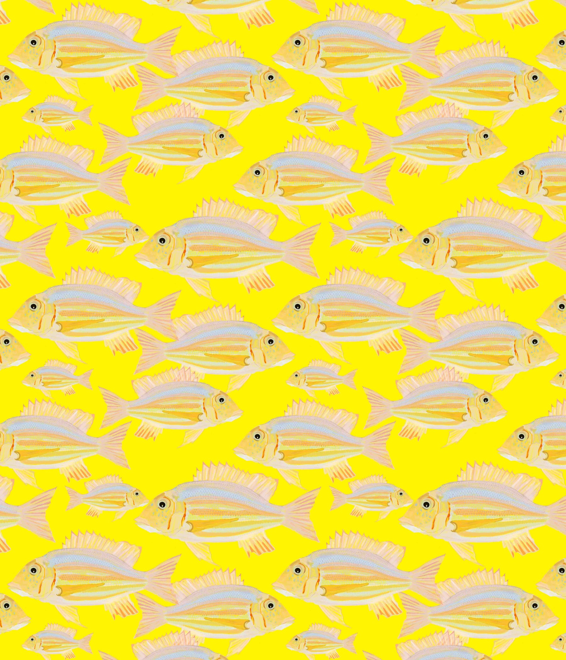Fish Wallpaper⁠