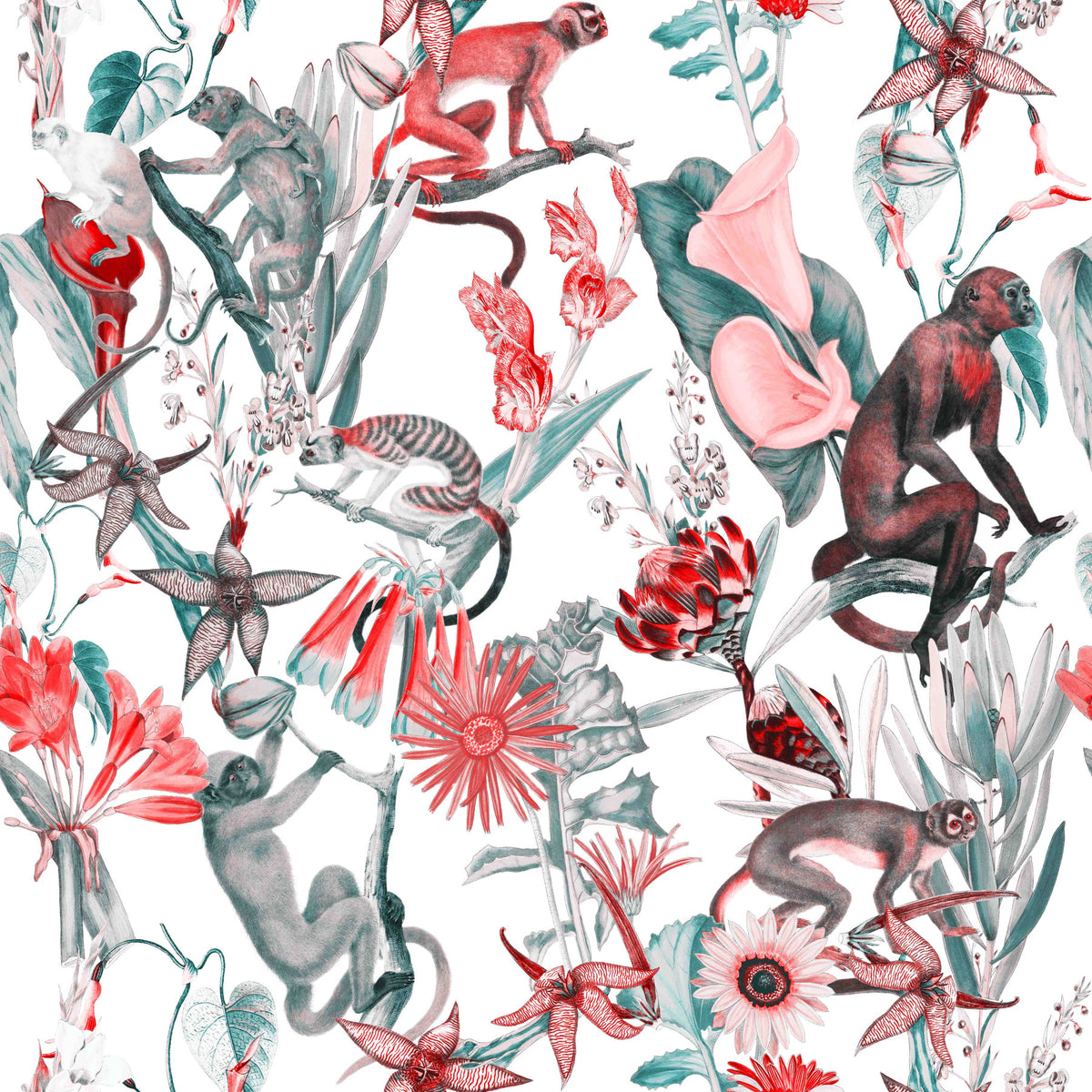 Hakuna  Wallpaper⁠