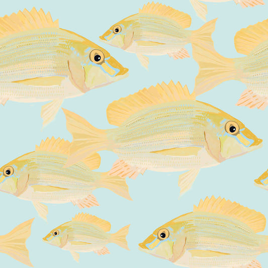 Sand Bream - The Fish 6  Wallpaper⁠