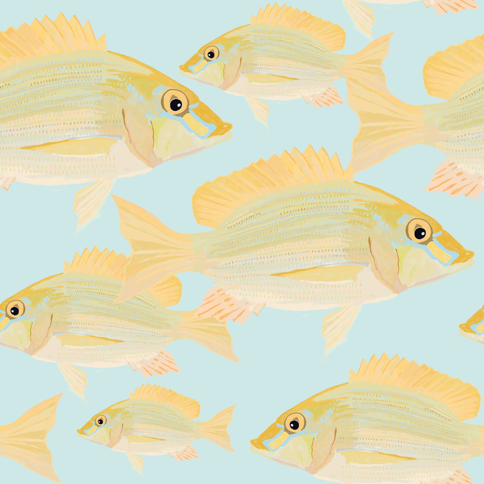 Sand Bream - The Fish 6  Wallpaper⁠