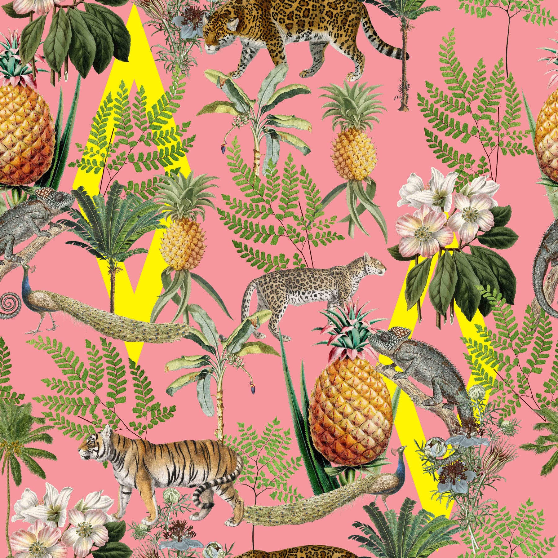 Wild Savana 02 Wallpaper⁠