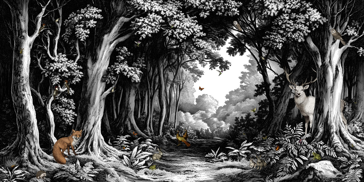 Into the Forest - Black & White Wall Mural