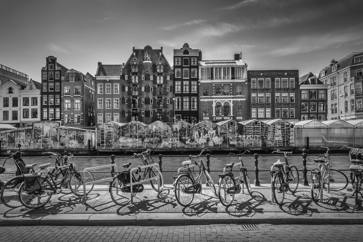 AMSTERDAM Singel Canal with Flower Market | monochrome Wall Mural in your room — zoomed