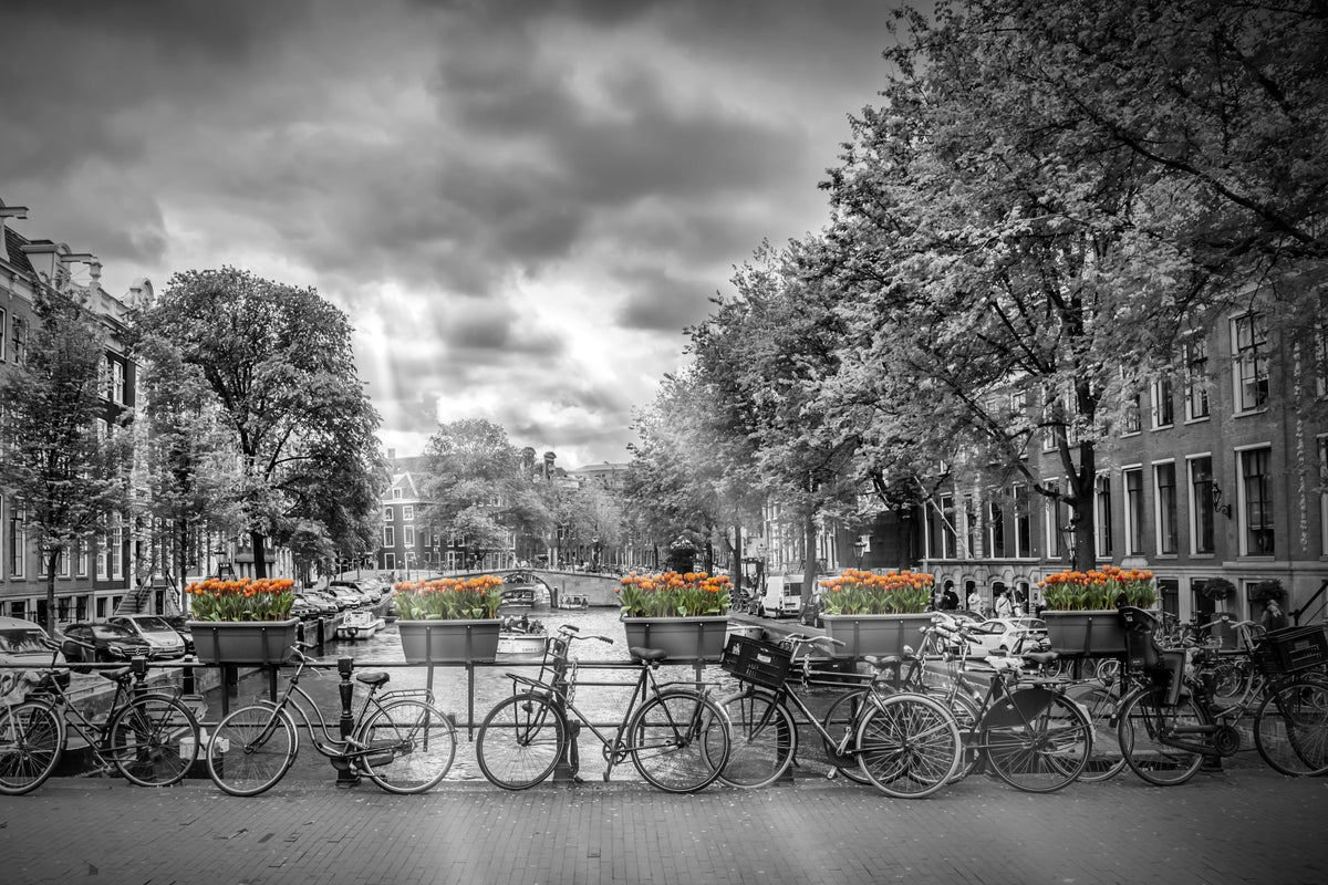 Herengracht Amsterdam Wall Mural in your room — zoomed