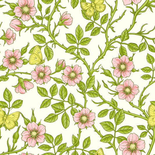 Wild roses and butterflies Wallpaper⁠