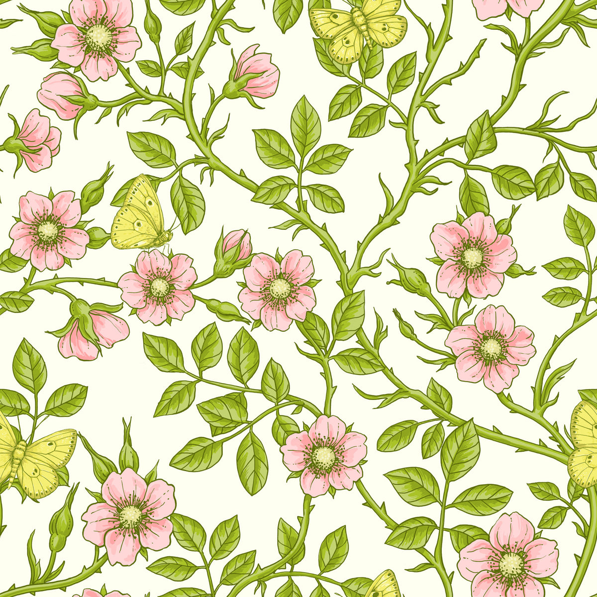 Wild roses and butterflies Wallpaper⁠
