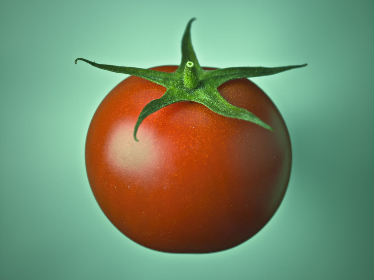 Red Tomato Wall Mural in your room — zoomed
