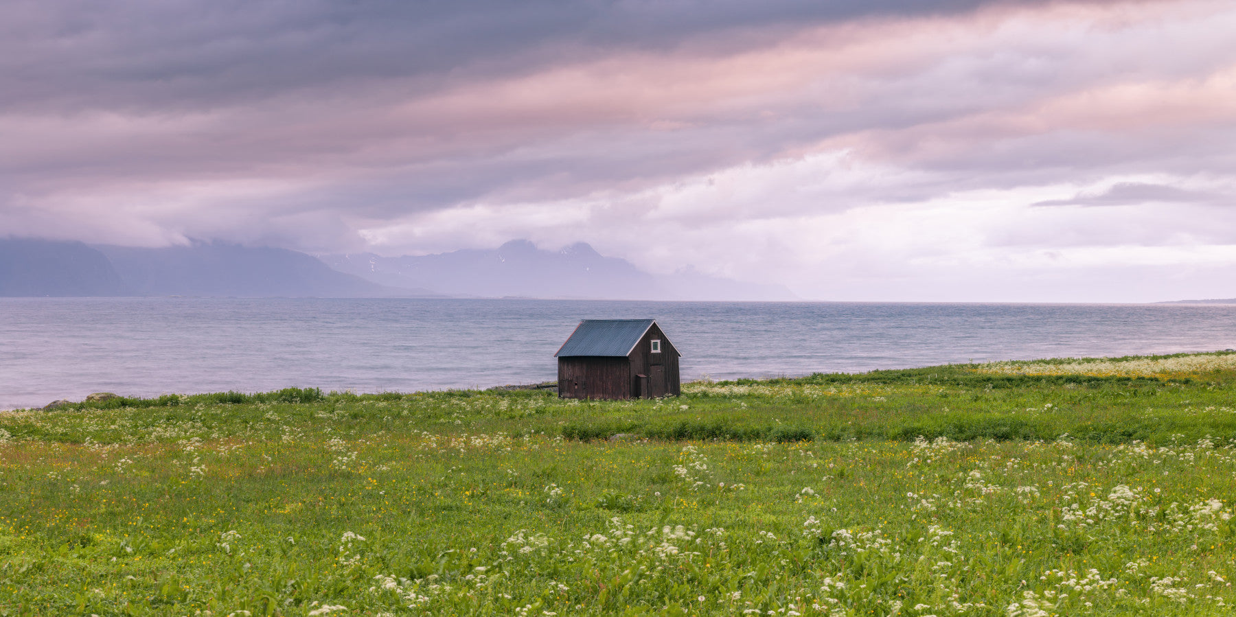 Coastal Meadow Dream Wall Mural