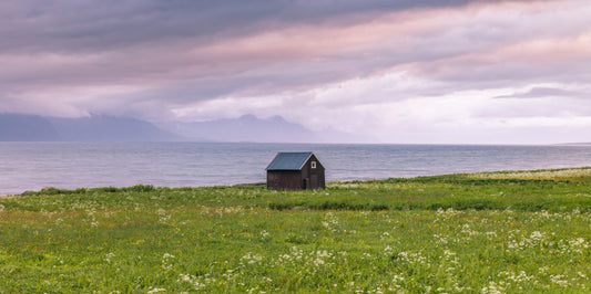Coastal Meadow Dream Wall Mural