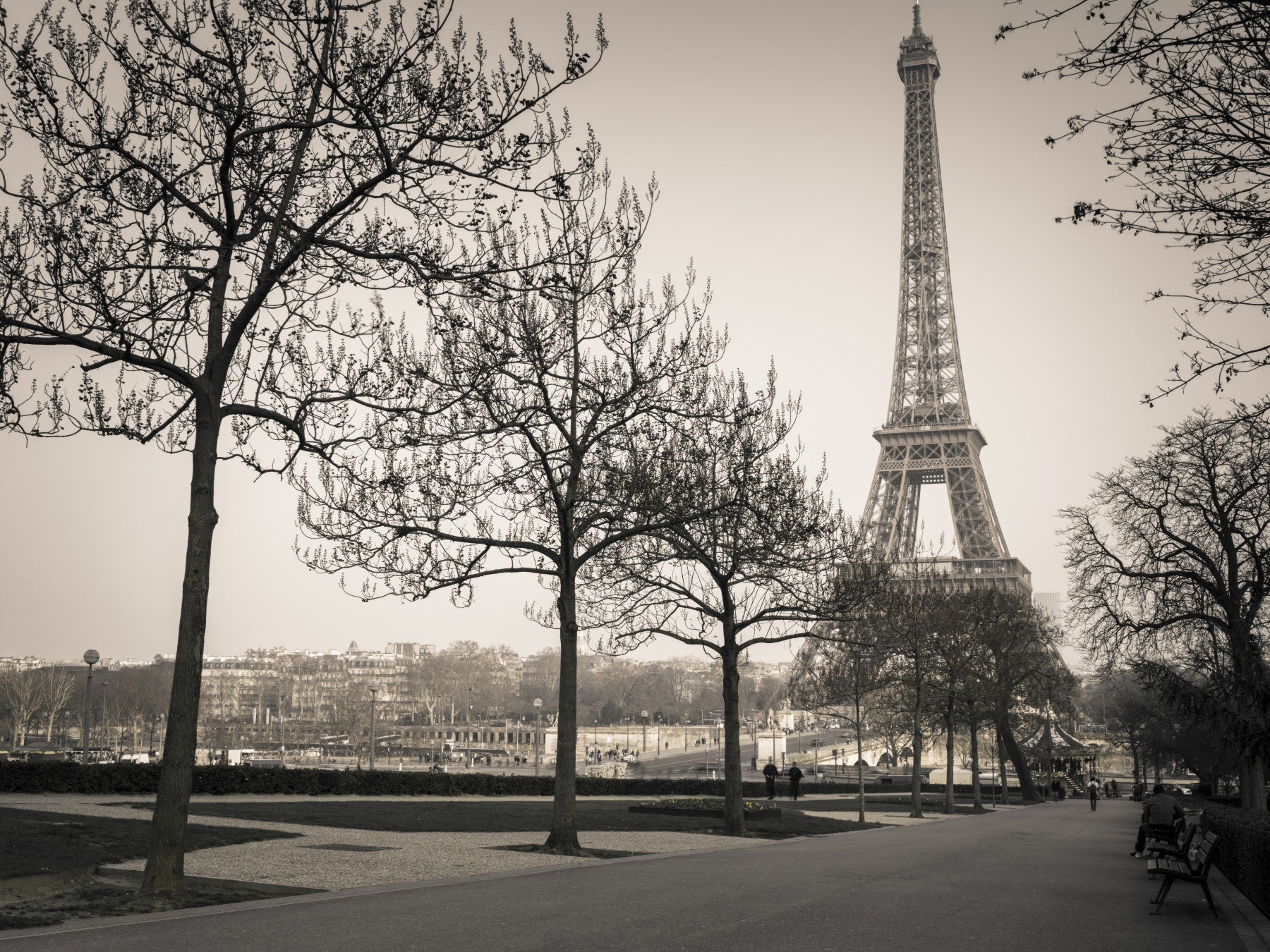 Echoes of Paris A Sepia Dream Wall Mural