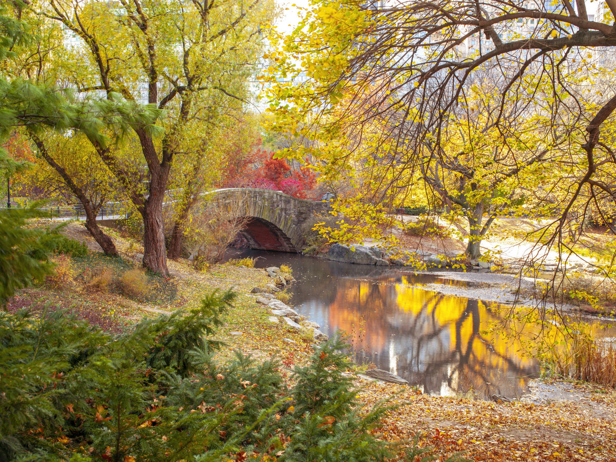 Autumnal Elegance Wall Mural