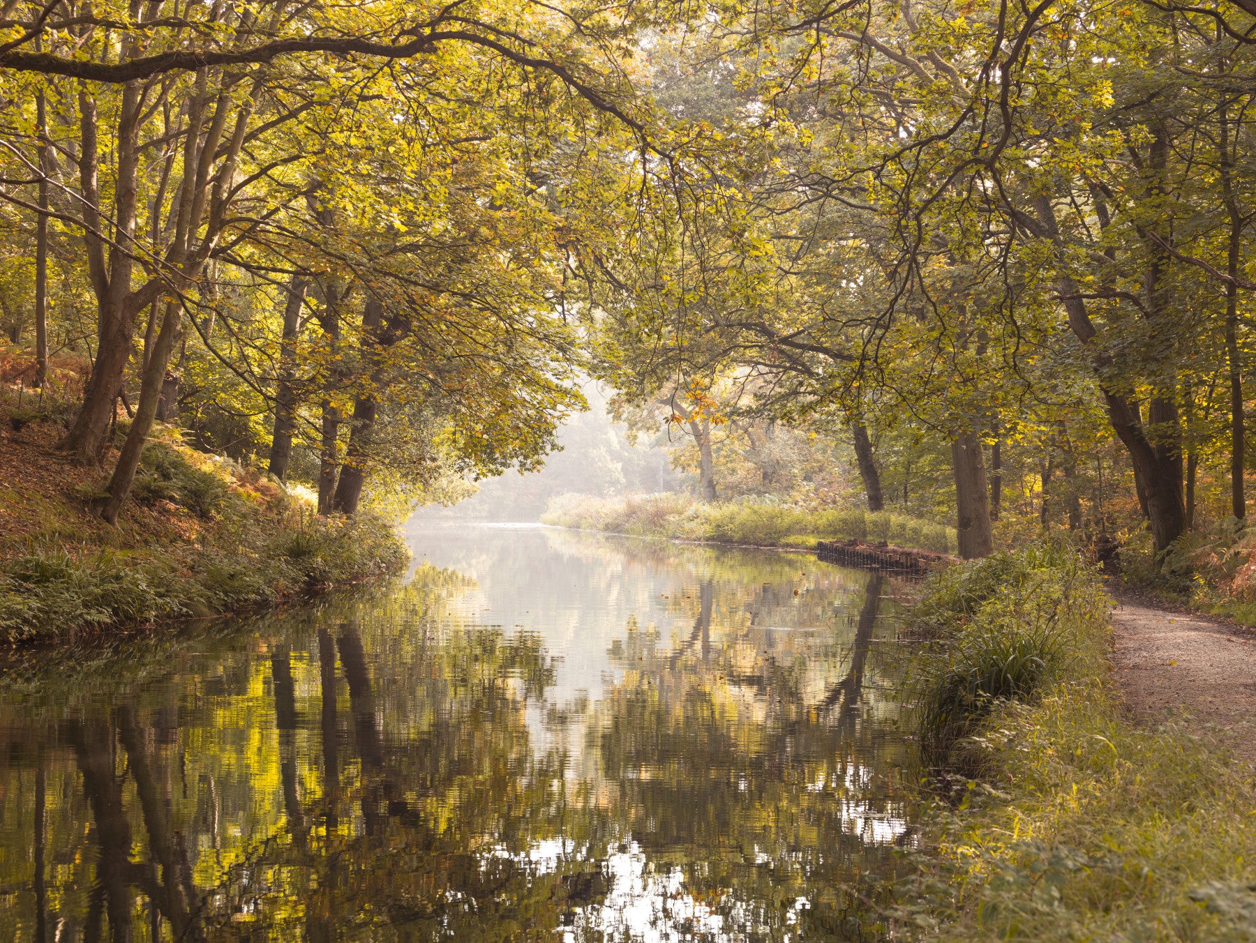 Basingstoke canal Wall Mural