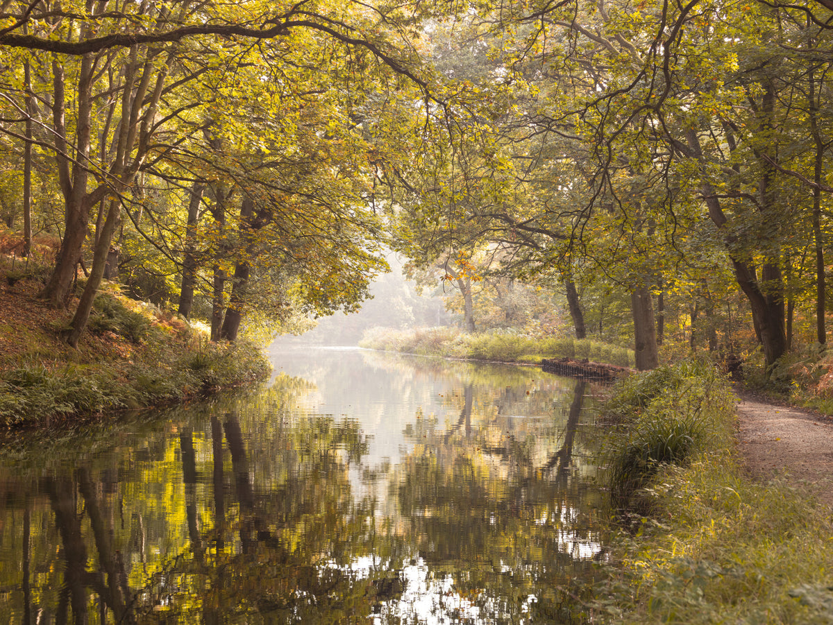 Basingstoke canal Wall Mural in your room — zoomed