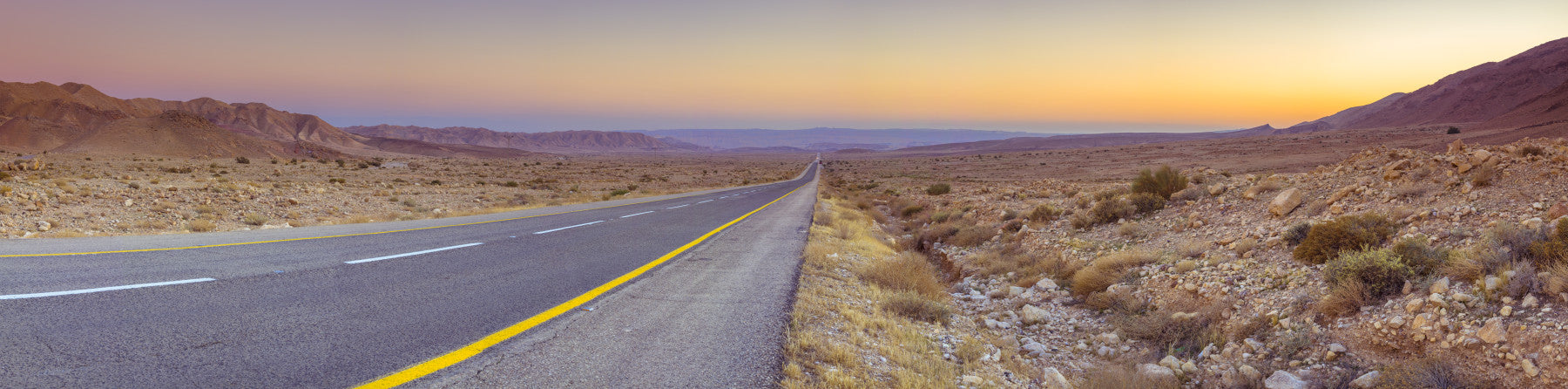 Scenic Desert Drive Wall Mural