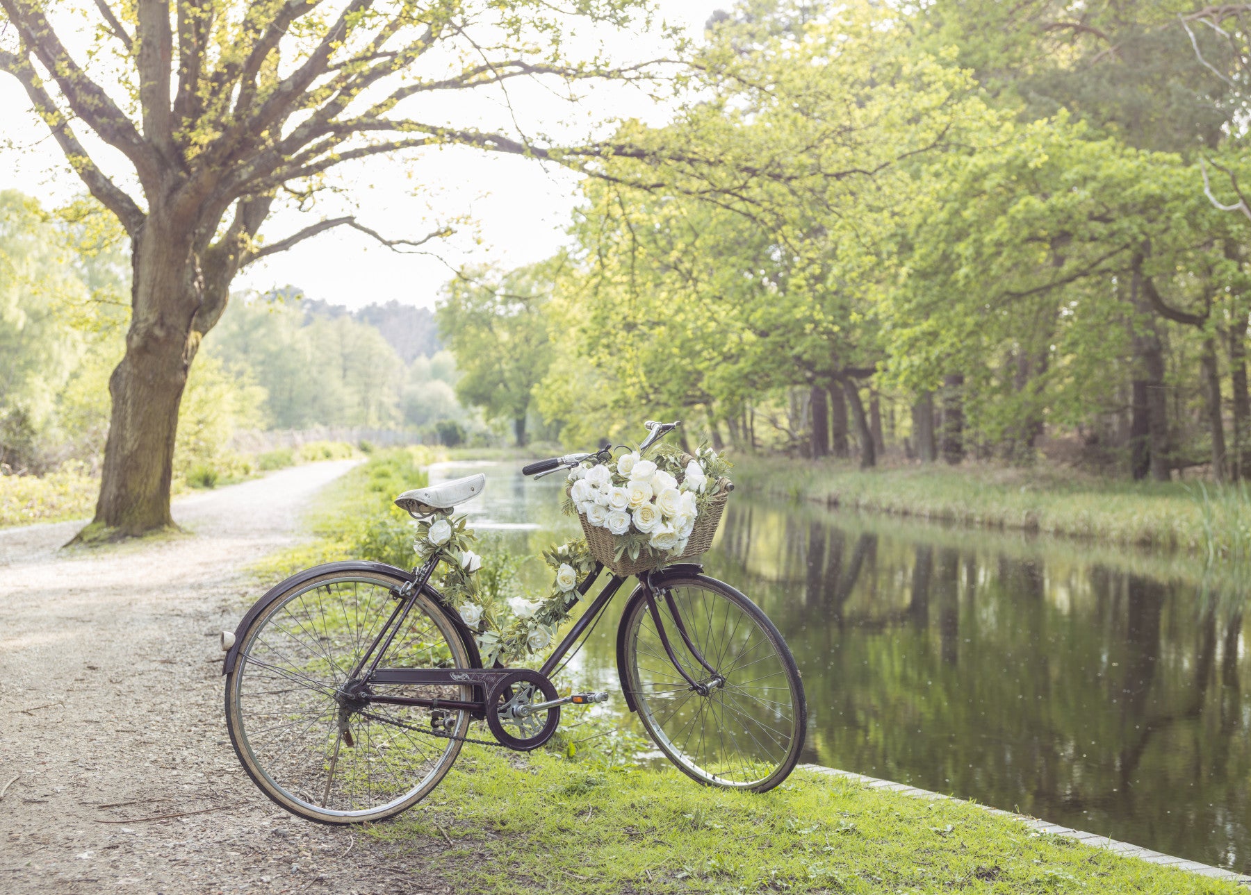 Bicycle by the Canal Wall Mural
