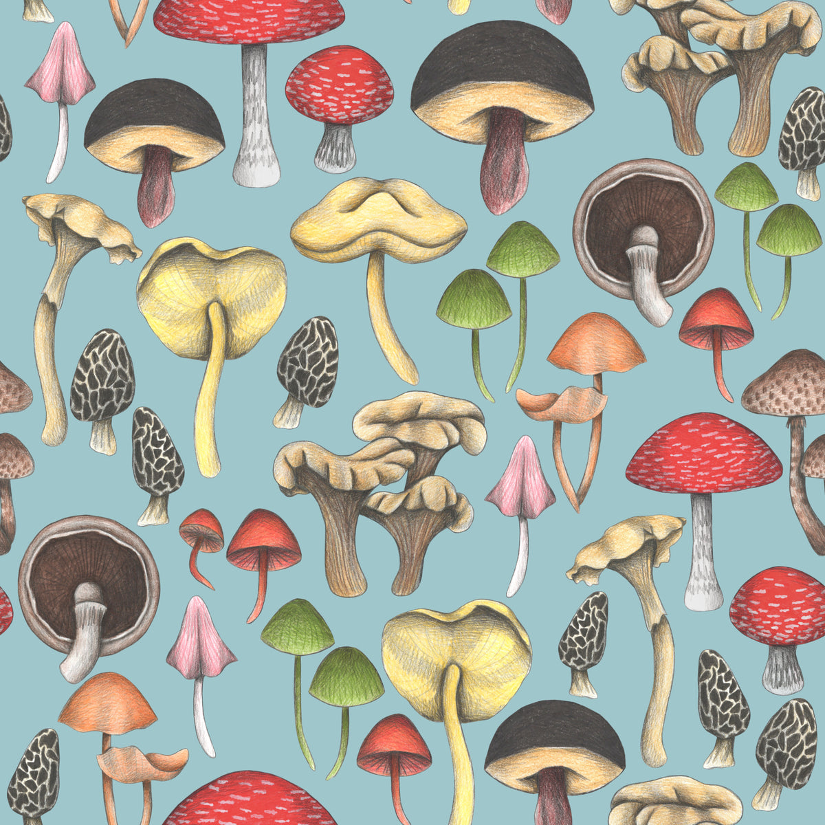 Wild Mushrooms Fantasy Wallpaper⁠