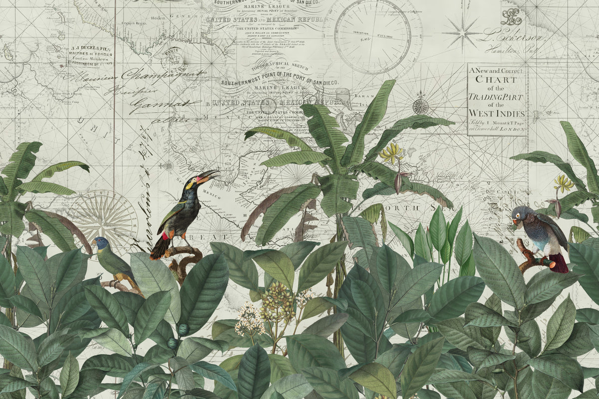 Discover The Tropical Vintage World Wall Mural