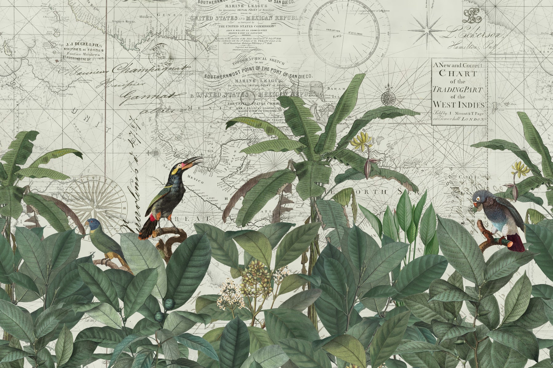 Discover The Tropical Vintage World Wall Mural